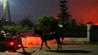 Φωτιά στην Κερατέα