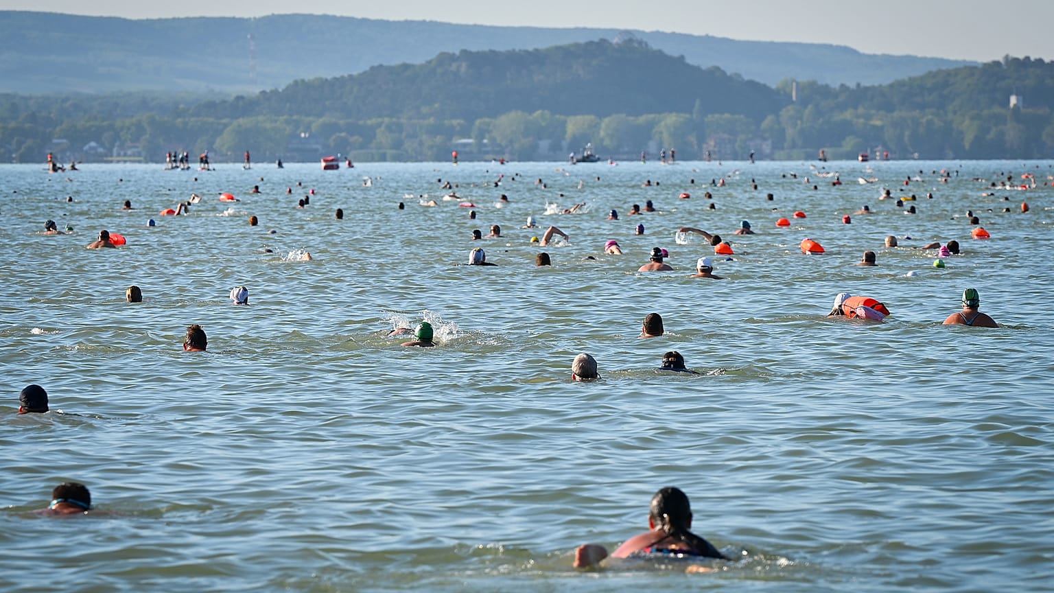 A 43. Lidl Balaton-átúszás résztvevői Révfülöpnél, 2025. augusztus 9.