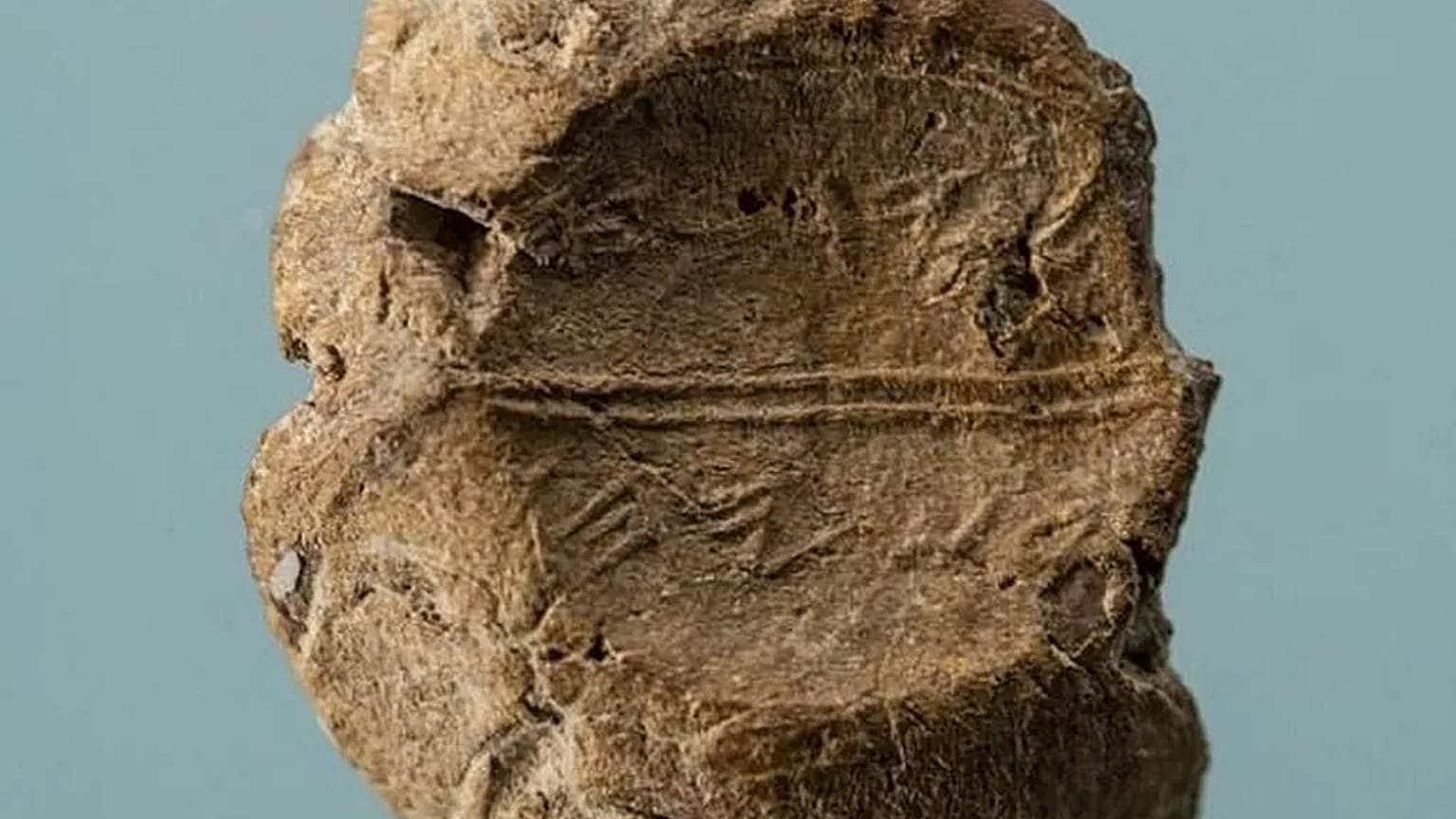 Yeni keşfedilen mühür.