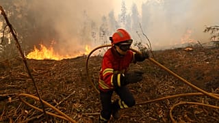 ARCHIVBILD - Ein Feuerwehrmann rennt mit einem Schlauch, um ein Feuer in den Außenbezirken von Sever do Vouga, Portugal, am Mittwoch, den 18. September 2024 zu löschen.