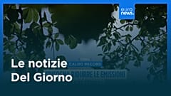 Le notizie del giorno | 11 agosto 2025 - Serale