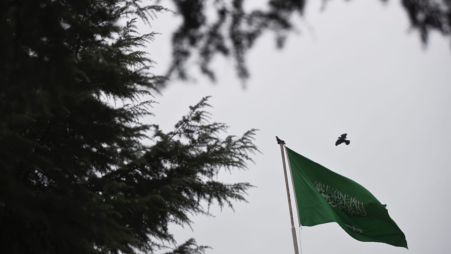 طائر يرفرف بجوار علم المملكة العربية السعودية على سطح مبنى قنصليتها في إسطنبول، الأحد 14 أكتوبر/ تشرين الأول 2018.