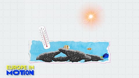 I turisti si recano spesso sulla costa mediterranea per le sue spiagge mozzafiato e il mare caldo, ma queste temperature piacevoli nascondono una tendenza al riscaldamento a lungo termine che alimenta le piogge torrenziali.