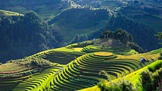 Vista aérea de unas terrazas de arroz en Vietnam.