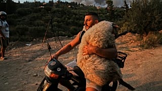 Ένας άνδρας μεταφέρει ένα πρόβατο με τη μοτοσικλέτα κατά τη διάρκεια μιας πυρκαγιάς στην πόλη της Πάτρας, δυτική Ελλάδα, Τετάρτη, 13 Αυγούστου 2025.
