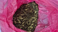 جزء من الكمية المضبوطة