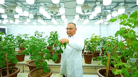 Vi presentiamo lo scienziato uzbeko pioniere delle scoperte genetiche nei settori del cotone