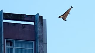 Un drone russe attaque un bâtiment lors d'une attaque aérienne de missiles et de drones russes à Kyiv, en Ukraine, le 17 juin 2025