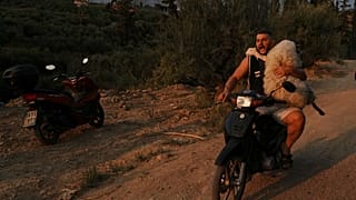 Olsjen Mucobega, albanés de 32 años residente en Grecia, transportaba una oveja en su motocicleta cuando se declaró un incendio en la ciudad de Patras el miércoles 13 de agosto de 2025.