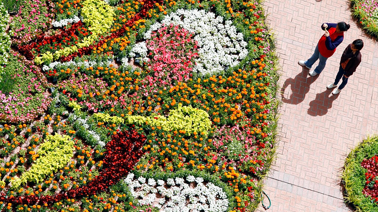 Douze chars, 2 100 danseurs et un demi-million de fleurs : cette année encore, le carnaval des fleurs de Debrecen, en Hongrie, a été l'un des défilés les plus colorés d'Europe