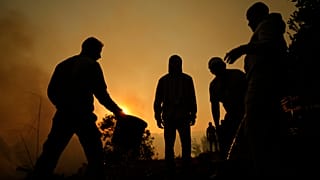 Há mais de um mês que Portugal é assolado por incêndios florestais