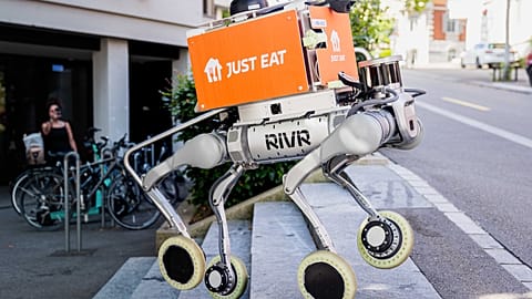 Robot food delivery dog 