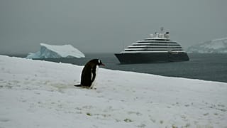 Human activity has greatly increased pollution on Antarctica, new research shows.