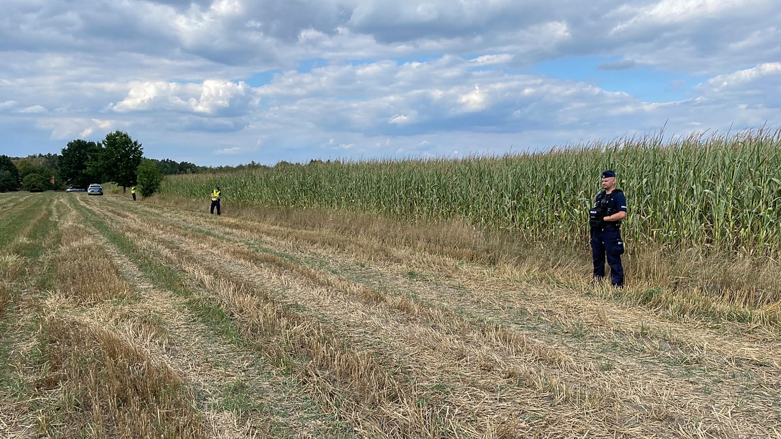 Expert: drone incidents will continue in Poland as long as there is a war across our border