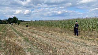 Police secure the cornfield area where an unidentified flying object crashed and exploded in the village of Osiny in eastern Poland, 20.08.2025