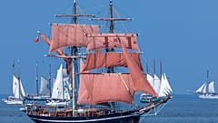Norwegisches Kreuzfahrtschiff rammt Böschung in Warnemünde bei Rostock: Wie ist der Unfall passiert?