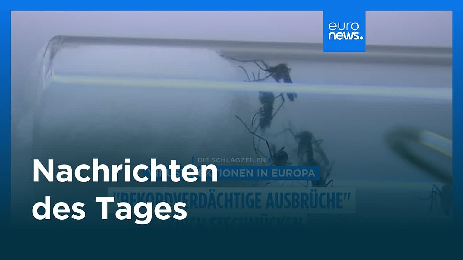 Nachrichten des Tages | 24. August 2025 - Abendausgabe