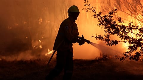 Portugal está a ser severamente castigado pelos incêndios este ano