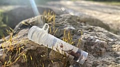 A kutatók által begyűjtött kullancsok egy műanyag tárolóban