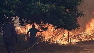 Entre 2022 et 2023, les gouvernements de l'UE ont augmenté leurs dépenses pour les services de protection contre les incendies de 8,5 %, pour atteindre 40,6 milliards d'euros.