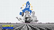 Los principales productores de la UE representan el 55% de la cosecha total de hortalizas.