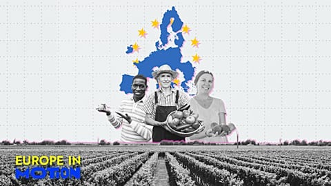 Los principales productores de la UE representan el 55% de la cosecha total de hortalizas. 