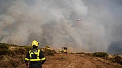 Bir itfaiye görevlisi orman yangınlarının önünde beklerken.
