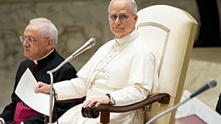 Papa Leone XIV ha rinnovato l'appello per la pace a Gaza durante l'ultima udienza del mercoledì (27 agosto 2025)