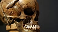 Foto de una calavera descubierta en Sofía, Bulgaria, en 2008