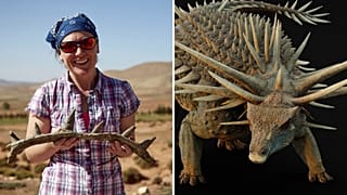 Scientists unveil dinosaur covered in spikes and with a vicious weapon in its tail