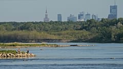 Deux hommes pêchent dans la Vistule, la plus longue rivière de Pologne, touchée par la sécheresse, à Varsovie le samedi 4 juillet 2025.