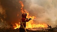 A firefighter works to extinguish a fire on the outskirts of Sever do Vouga, 18 September, 2024