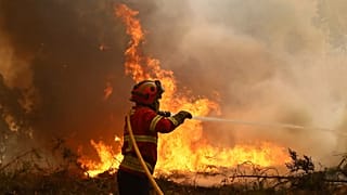 A firefighter works to extinguish a fire on the outskirts of Sever do Vouga, 18 September, 2024