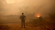 Imagen de archivo, incendio forestal en España, 19 de agosto de 2025