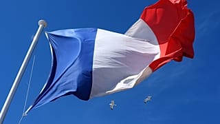 أساطيل تحمل العلم الفرنسي في مدينة نيس، جنوب شرق فرنسا، الثلاثاء 19 مارس/ آذار 2013.