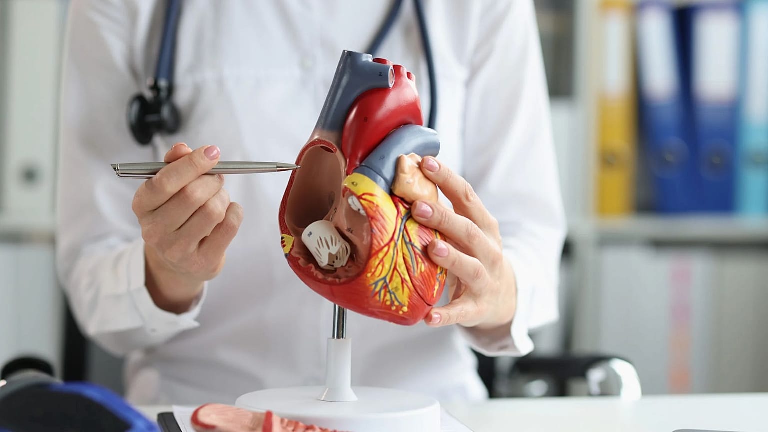 Beta blockers offer no benefit after uncomplicated heart attack, trial finds