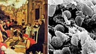 Το αρχαίο DNA αποκαλύπτει το θανατηφόρο βακτήριο πίσω από την πρώτη πανδημία της ιστορίας