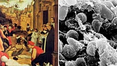 Il DNA antico rivela il batterio mortale dietro la prima pandemia della storia