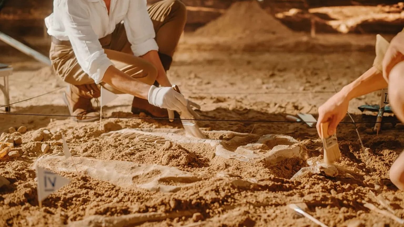 دیرینه‌شناسان