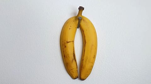 Why is Sandinavia’s largest international art fair going bananas for Thyra Hilden’s ‘Equal Satire’?