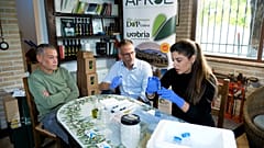 The Food Detectives: ein tragbares DNA-Testkit, um gefälschtes Olivenöl zu entlarven