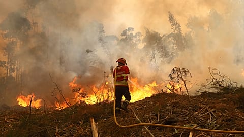 Tűzoltás Sever do Vouga külvárosában Észak-Portugáliában 2024. szeptember 18-án