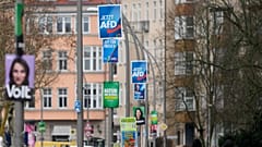In der AfD-Partei gab es zuletzt sieben Todesfälle in Nordrhein-Westfalen. Dort stehen Kommunalwahlen bevor.