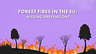 Versagt die EU bei der Verhütung von Waldbränden?