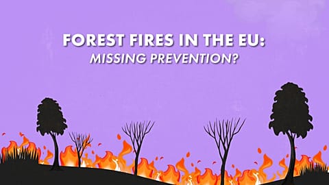 Is the EU failing to prevent forest fires?