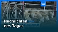 Nachrichten des Tages | 4. September 2025 - Abendausgabe