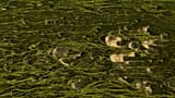 An aerial view of the almost dried-up Miljacka River and algae peeking through amid a heat wave and drought in Sarajevo, 10 August, 2025