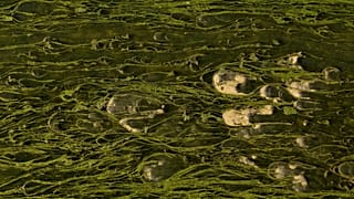 An aerial view of the almost dried-up Miljacka River and algae peeking through amid a heat wave and drought in Sarajevo, 10 August, 2025