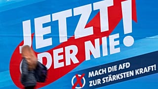 AfD
