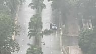 في هذه الصورة المأخوذة من لقطات فيديو، تتنقل سيارة متجاوزة فروع الأشجار المتساقطة بينما يضرب الإعصار الاستوائي "تاباه" هونغ كونغ في وقت مبكر من صباح الإثنين، 8 سبتمبر 2025.